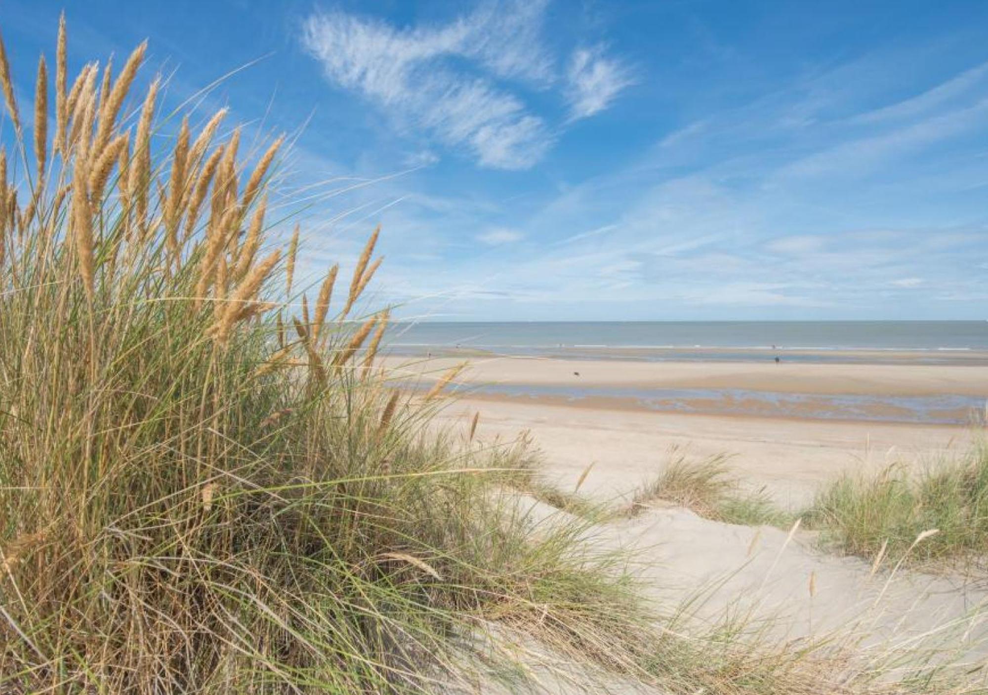 Salty - Vakantiehuisje Op De Grens Van Bredene-De Haan Eksteriør billede